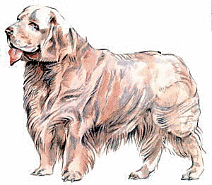 Free C Clipart