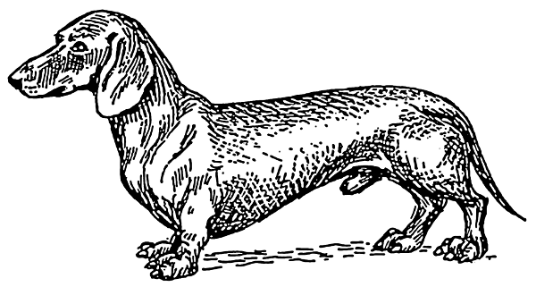 Free D Clipart