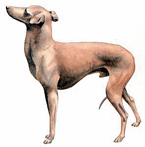 Free I Clipart