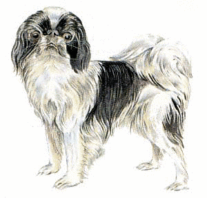 Free J Clipart