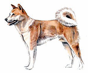 Free M Clipart