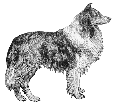 Free C Clipart