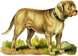 Free M Clipart