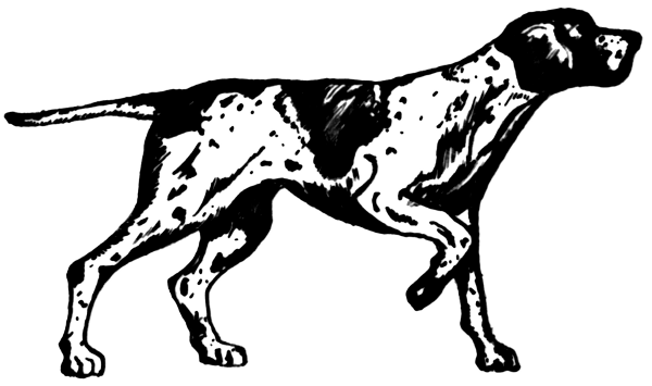Free P Clipart
