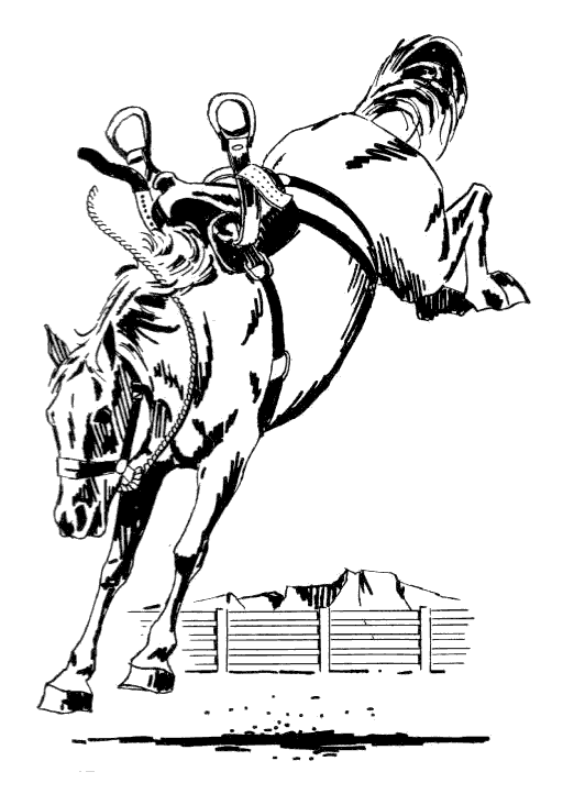 saddle bronc riding coloring pages - photo #12