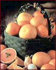 Free Grapefruit Clipart