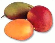 Free Mango Clipart