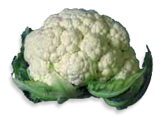 Free Cauliflower Clipart
