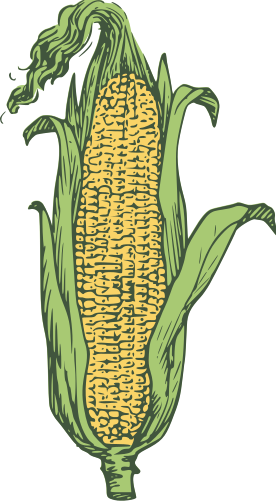 Free Sweet Corn Clipart