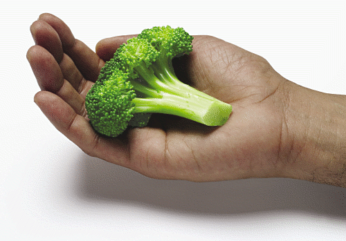 Free Broccoli Clipart