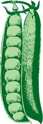 Free Pea Clipart