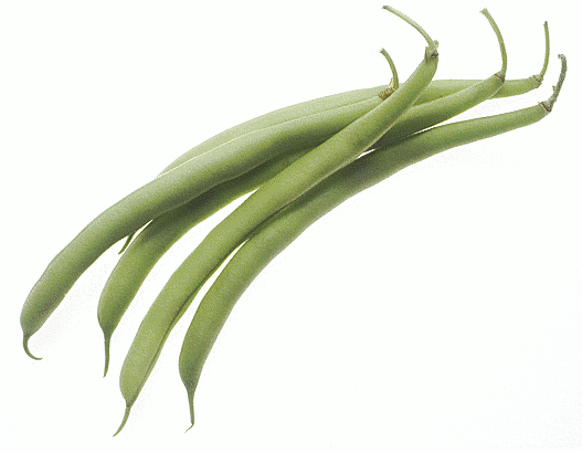 Free Fresh Beans Clipart