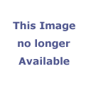 Bird Clipart