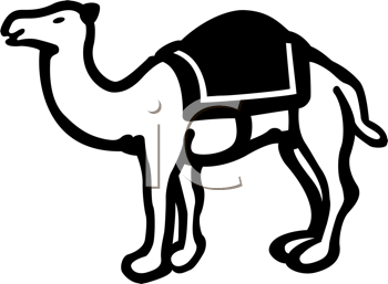 Camel Clipart