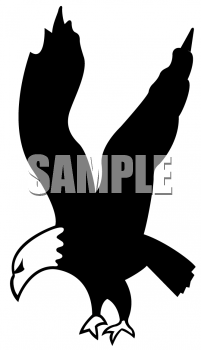 Insect Clipart