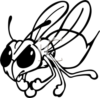 Insect Clipart
