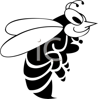 Insect Clipart