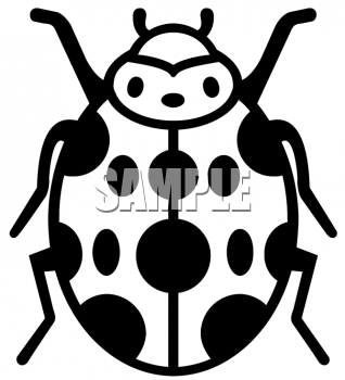 Insect Clipart