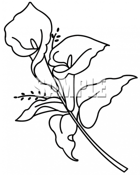 Nature and Scenic Clipart