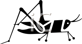 Insect Clipart