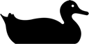 Bird Clipart
