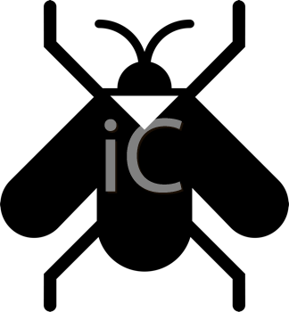 Insect Clipart