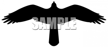 Bird Clipart