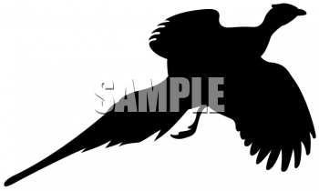 Bird Clipart