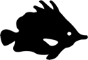 Fish and Sea Life Clipart