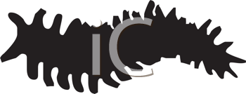 Insect Clipart