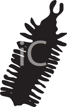 Insect Clipart