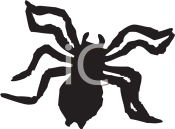 Insect Clipart