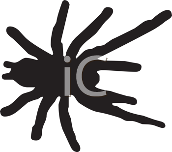 Insect Clipart