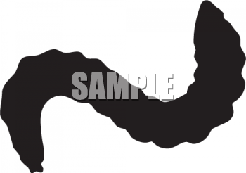 Invertebrates Clipart