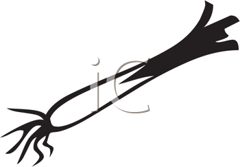 Food Clipart