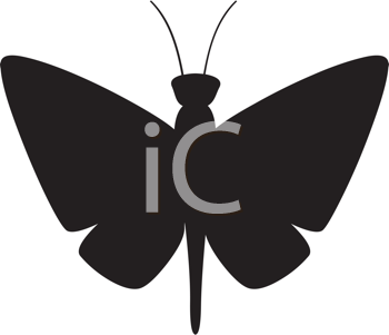 Insect Clipart