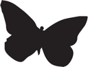 Insect Clipart