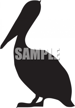 Bird Clipart