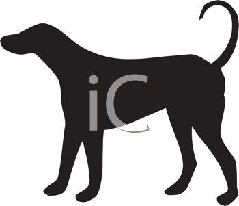 Pet Clipart