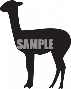 Camel Clipart