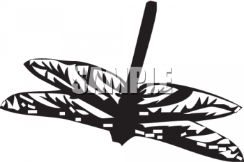 Insect Clipart