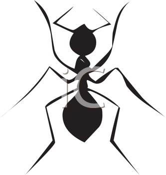 Insect Clipart