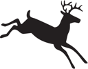 Deer Clipart