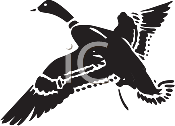 Bird Clipart