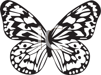 Insect Clipart