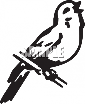 Bird Clipart