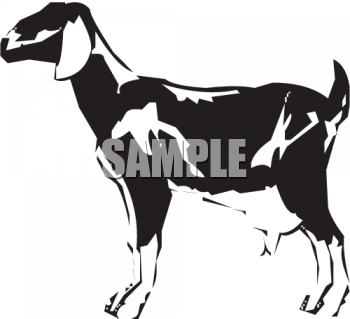 Farm Animal Clipart