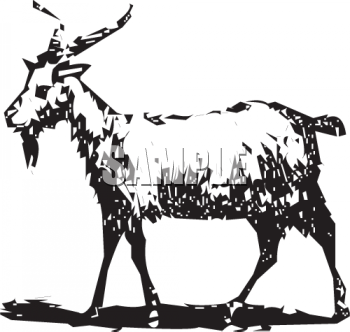 Farm Animal Clipart
