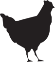 Farm Animal Clipart