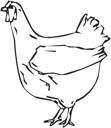 Farm Animal Clipart